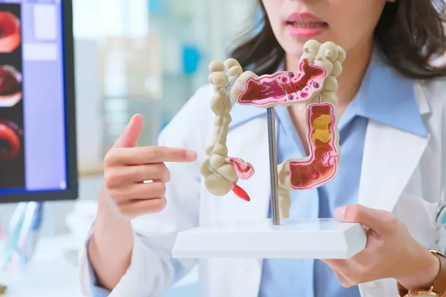 o que comer para proteger o cólon